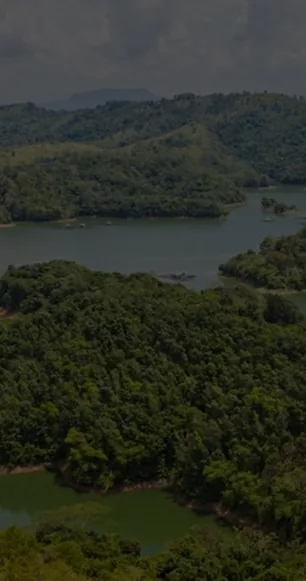 Environment